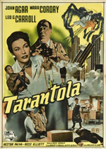 Poster Tarantola  n. 2