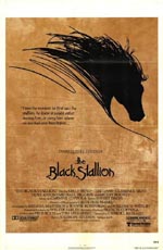 Poster Black Stallion  n. 0