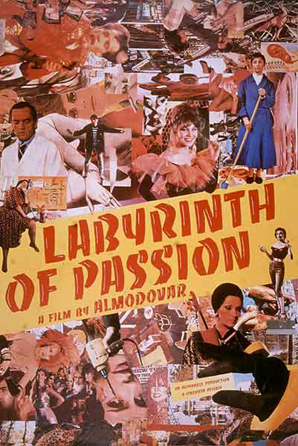 Poster Labirinto di passioni