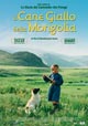 Il cane giallo della Mongolia