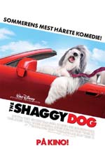 Poster Shaggy Dog - Pap che abbaia... non morde  n. 3