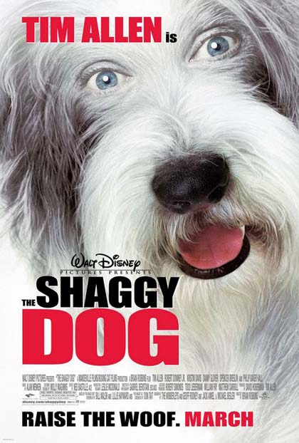 Poster Shaggy Dog - Pap che abbaia... non morde