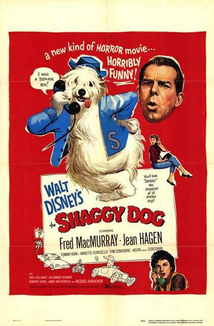 Poster Shaggy Dog - Pap che abbaia... non morde
