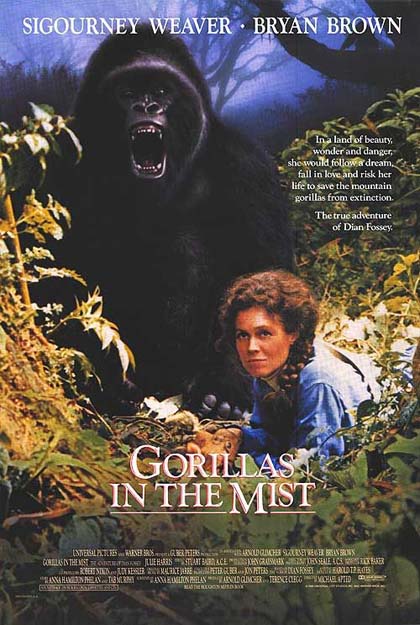 Poster Gorilla nella nebbia