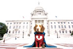 Poster Underdog - Storia di un vero supereroe  n. 11