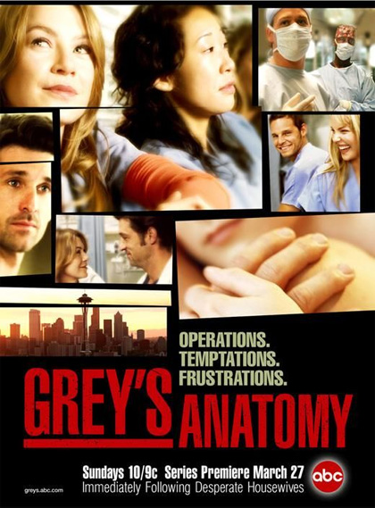 Grey's Anatomy - Stagione 20
