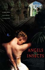 Poster Angeli e insetti  n. 0