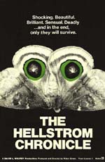 La cronaca di Hellstrom