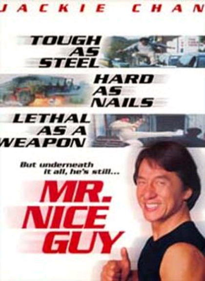 book mr nice guy