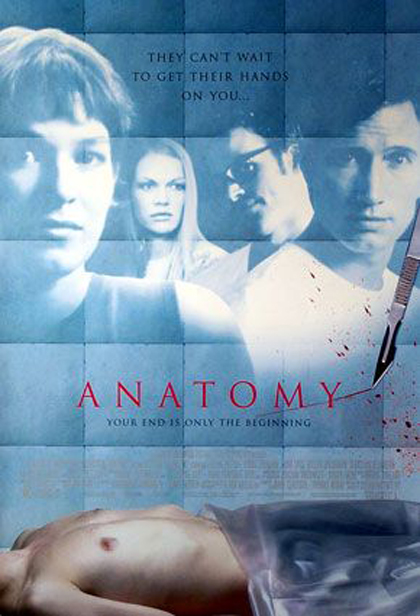 Poster Anatomy