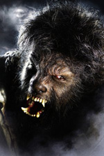 Poster Wolfman  n. 3