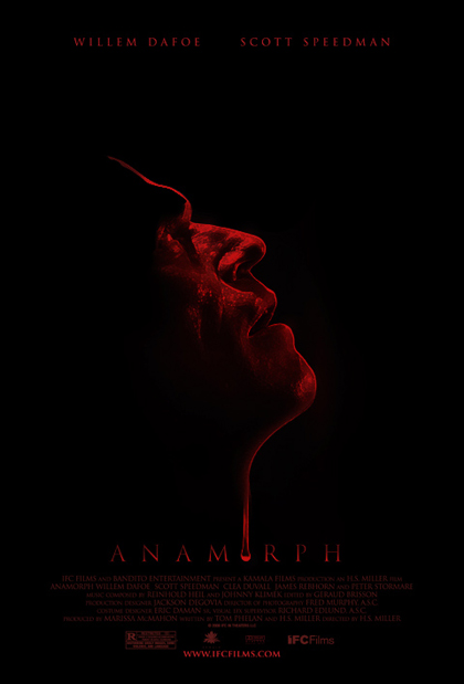 Poster Anamorph