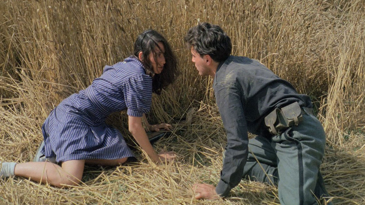 La notte di San Lorenzo - Film (1982) - MYmovies.it