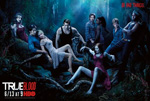 Poster True Blood  n. 41