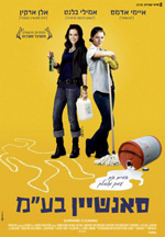 Poster Sunshine Cleaning  n. 4