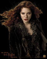 Poster The Twilight Saga: New Moon  n. 22