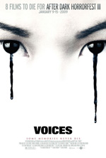 Poster Voices  n. 0