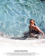 Poster Dogtooth  n. 4