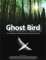 Ghost bird