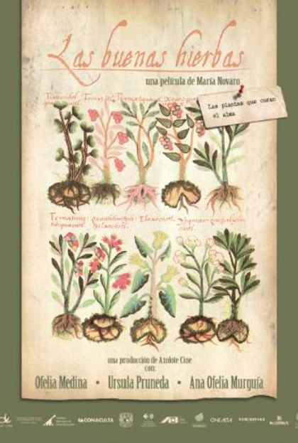 Locandina italiana The Good Herbs