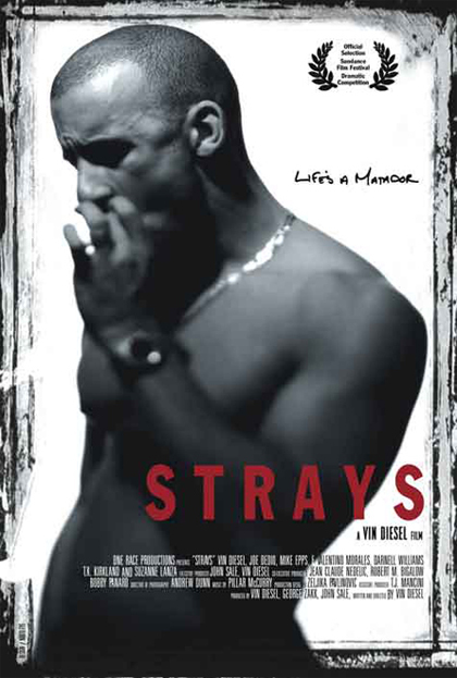 Poster Strays