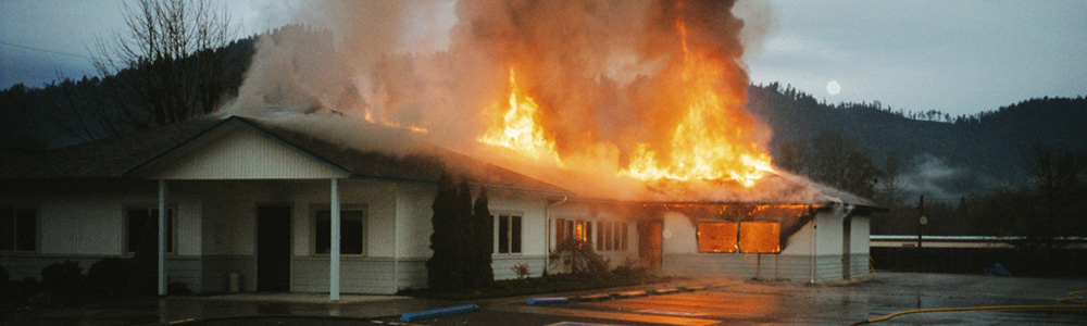 If a Tree Falls: A Story of the Earth Liberation Front