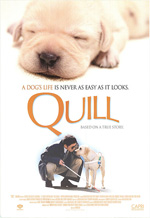 Poster Quill  n. 0