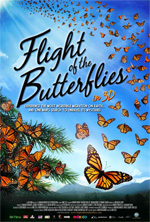 Poster Butterflies 3d  n. 0
