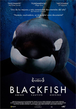 Poster Blackfish  n. 0