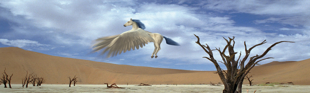 Magic Journey To Africa