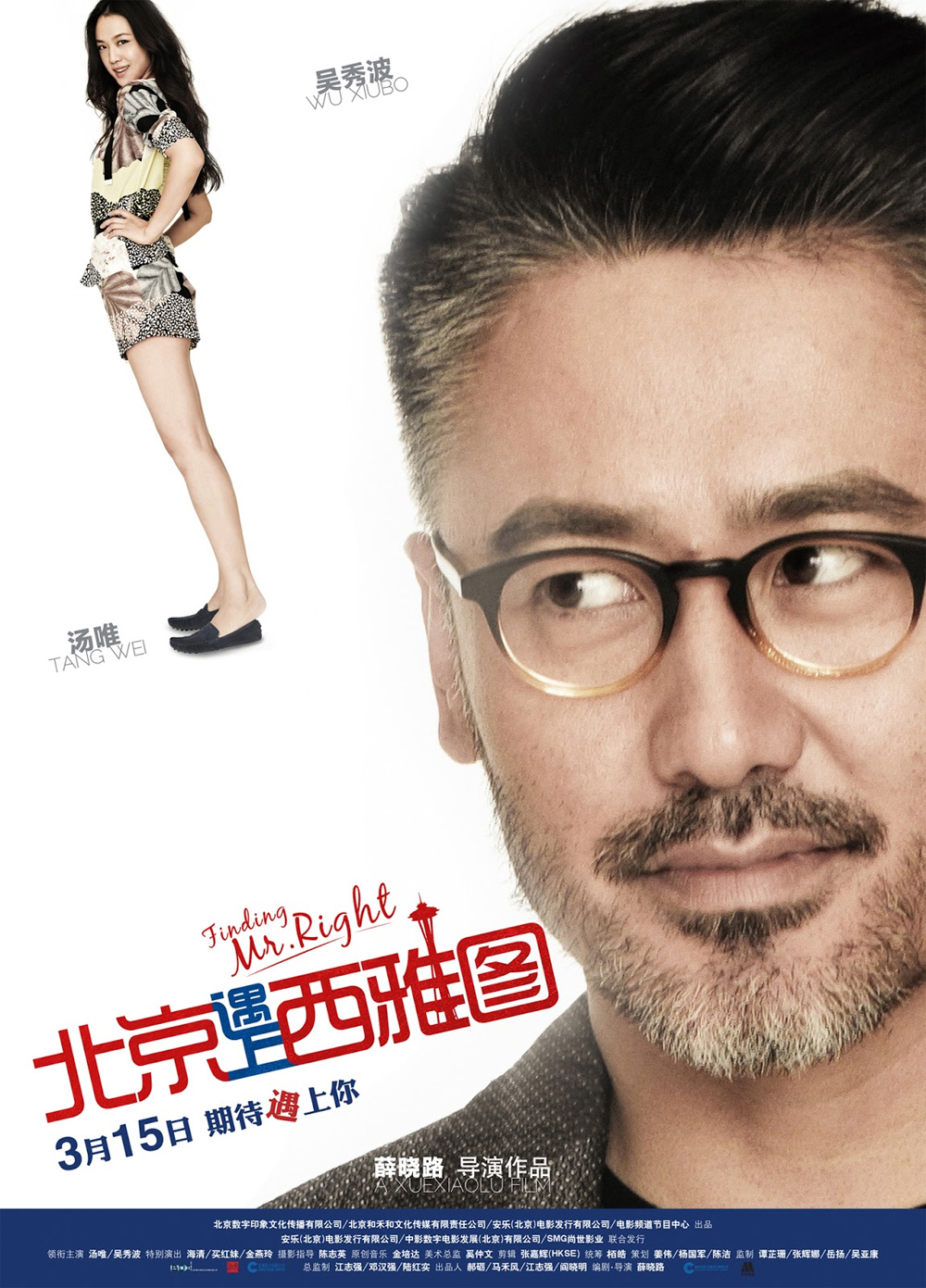 Poster Finding Mr. Right
