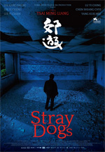 Poster Stray Dogs  n. 0