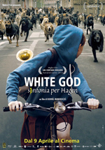 Poster White God - Sinfonia per Hagen  n. 0