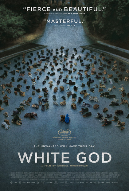 Poster White God - Sinfonia per Hagen