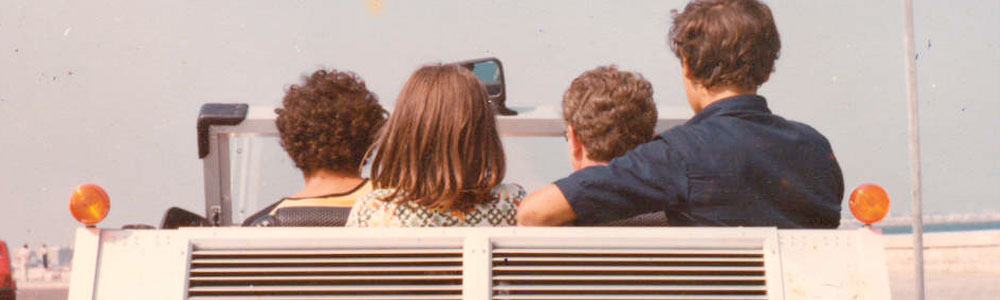 L'albero di trasmissione