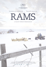 Poster Rams - Storia di due fratelli e otto pecore  n. 1