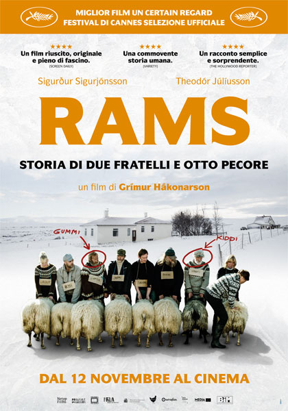 Locandina italiana Rams - Storia di due fratelli e otto pecore