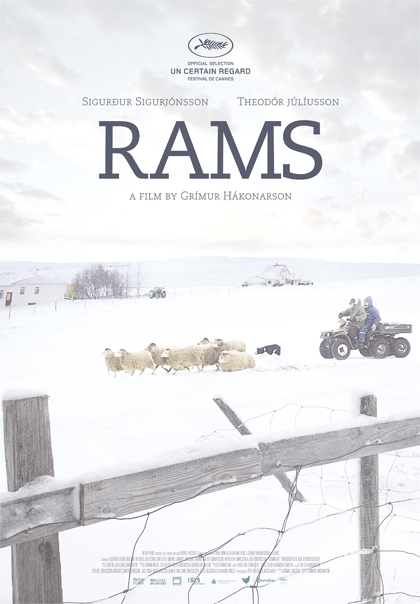 Poster Rams - Storia di due fratelli e otto pecore