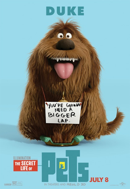 Poster Pets - Vita da animali