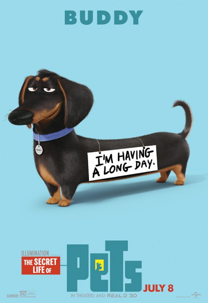 Poster Pets - Vita da animali