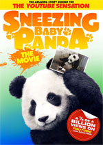 Poster Sneezing Baby Panda  n. 1