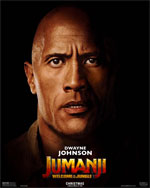Poster Jumanji: Benvenuti nella giungla  n. 13