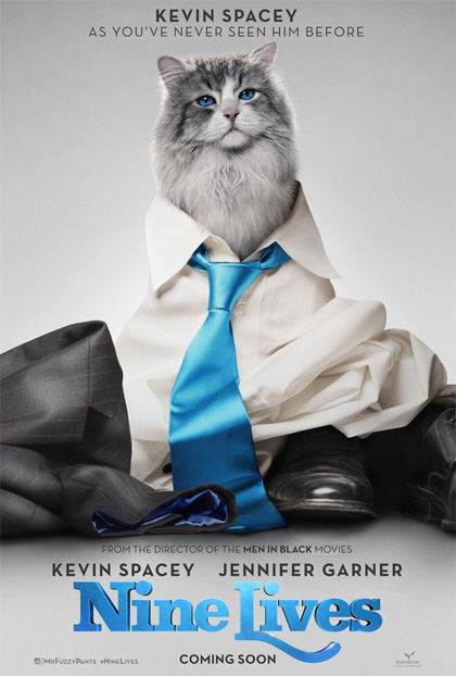 Poster Una vita da gatto