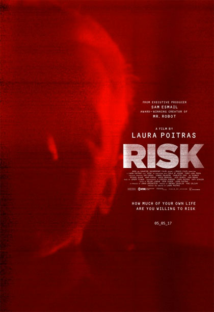 Locandina italiana Risk
