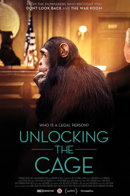 Locandina italiana Unlocking the Cage