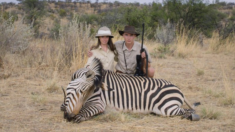 Safari