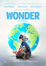 Poster Wonder  n. 3