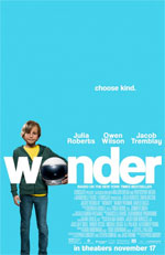 Poster Wonder  n. 6