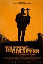 Waiting for giraffes