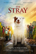 Poster The Stray  n. 0
